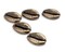 The Bead Chest Antiqued Brass Cowrie Shells (Set of 5): Metal Beads for DIY Crafts & Jewelry-Making Inspired by African Sea Shells